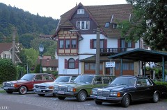 Benz-Treffen 2009